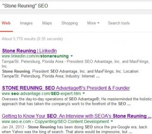 Search Results Page for an Experienced SEO Professional